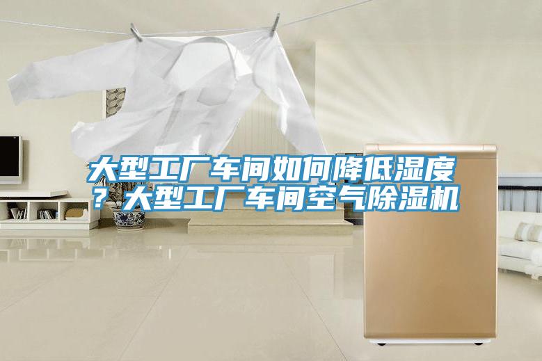亚洲欧美一级特黄大片 大型工厂车间如何降低湿度？大型工厂车间空气除湿机