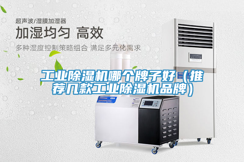 亚洲欧美一级特黄大片 工业除湿机哪个牌子好（推荐几款工业除湿机品牌）