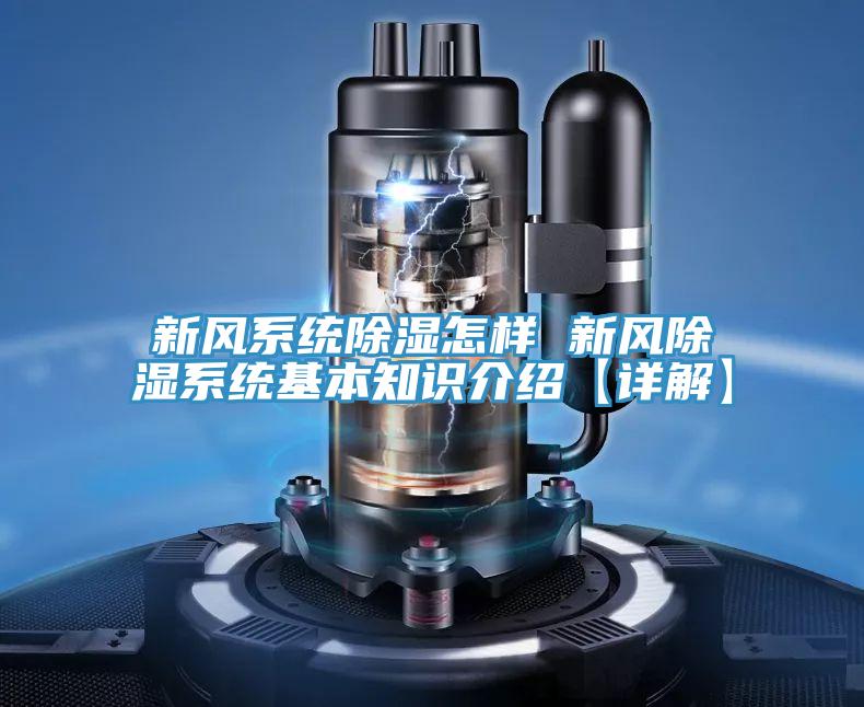 亚洲乱码一区二区三区 新风系统除湿怎样 新风除湿系统基本知识介绍【详解】