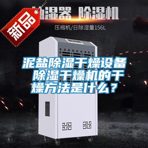 亚洲人成综合第一网站 泥盐除湿干燥设备 除湿干燥机的干燥方法是什么？