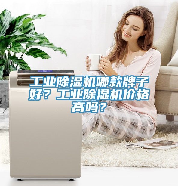 亚洲欧美一级特黄大片 工业除湿机哪款牌子好？工业除湿机价格高吗？
