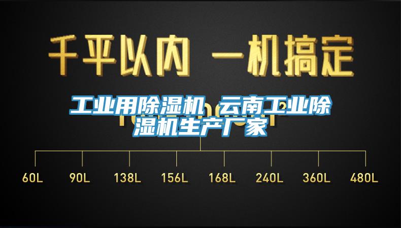 亚洲欧美一级特黄大片 工业用除湿机 云南工业除湿机生产厂家