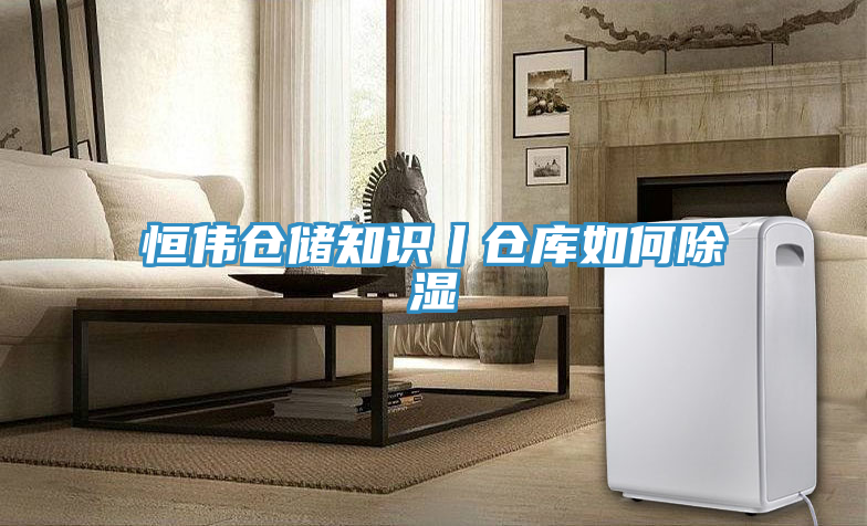 亚洲乱码一区二区三区 恒伟仓储知识丨仓库如何除湿