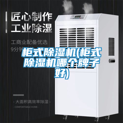 亚洲人成综合第一网站 柜式除湿机(柜式除湿机哪个牌子好)