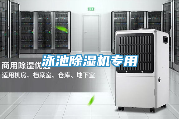 亚洲欧美一级特黄大片 泳池除湿机专用
