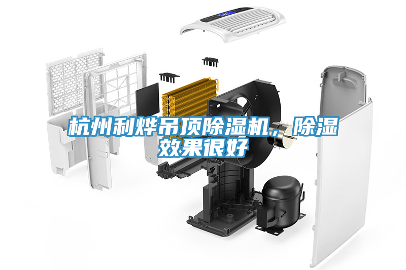 亚洲乱码一区二区三区 杭州利烨吊顶除湿机，除湿效果很好