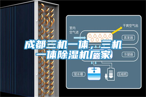 亚洲欧美一级特黄大片 成都三机一体，三机一体除湿机厂家