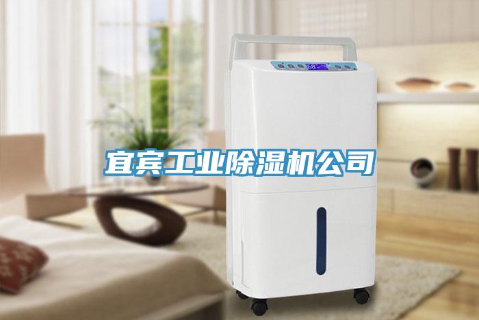 亚洲欧美一级特黄大片 宜宾工业除湿机公司