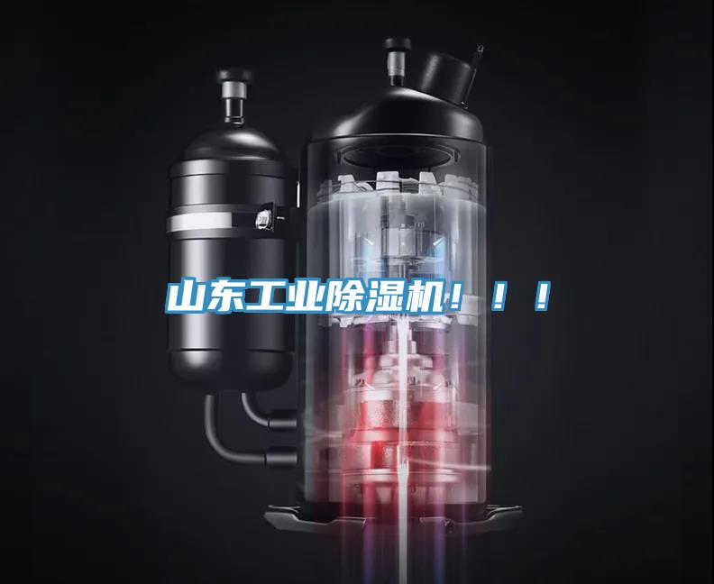 亚洲乱码一区二区三区 山东工业除湿机！！！
