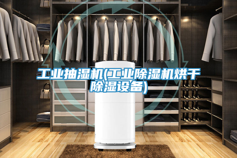 亚洲人成综合第一网站 工业抽湿机(工业除湿机烘干除湿设备)