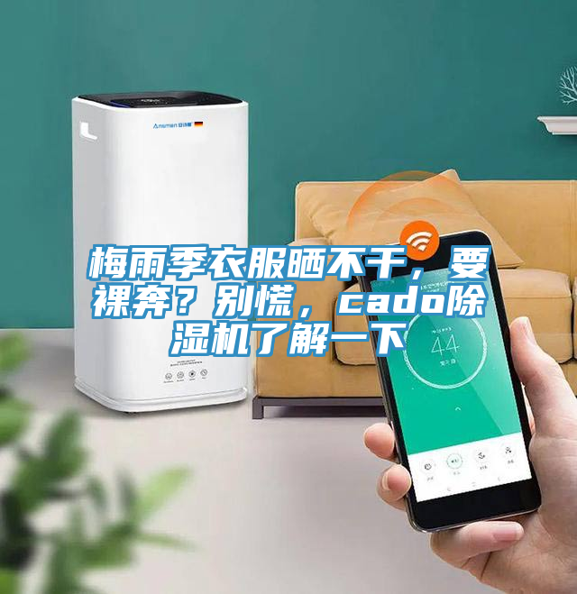 亚洲欧美一级特黄大片 梅雨季衣服晒不干，要裸奔？别慌，cado除湿机了解一下