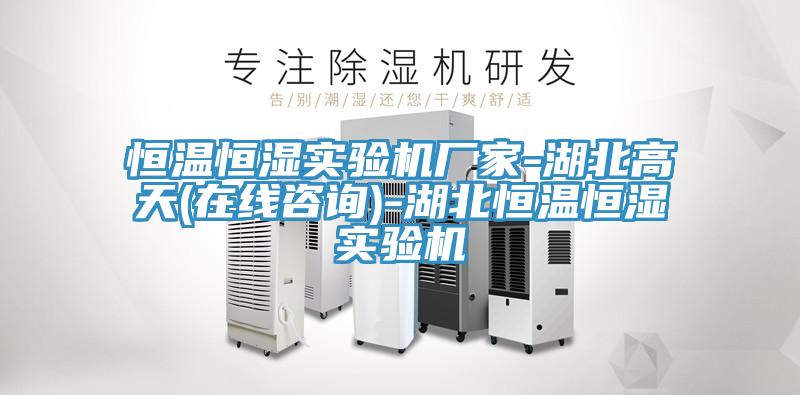 亚洲欧美一级特黄大片 恒温恒湿实验机厂家-湖北高天(在线咨询)-湖北恒温恒湿实验机