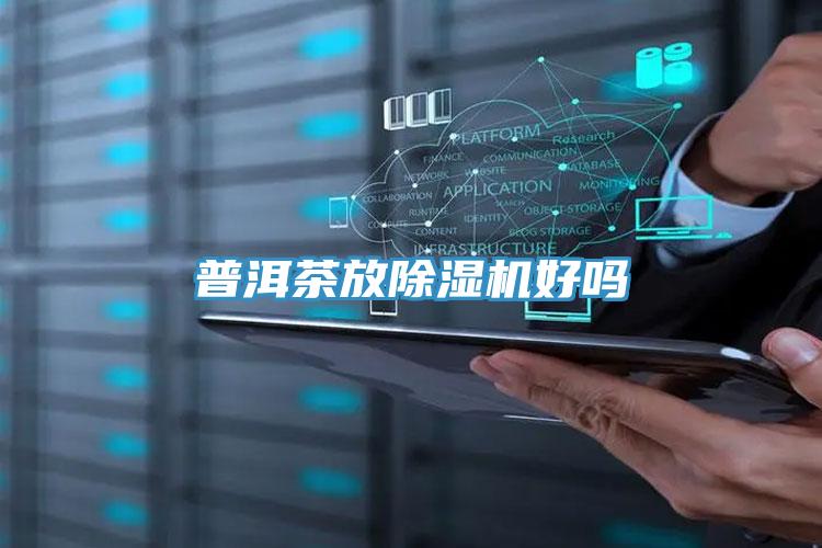 亚洲乱码一区二区三区 普洱茶放除湿机好吗