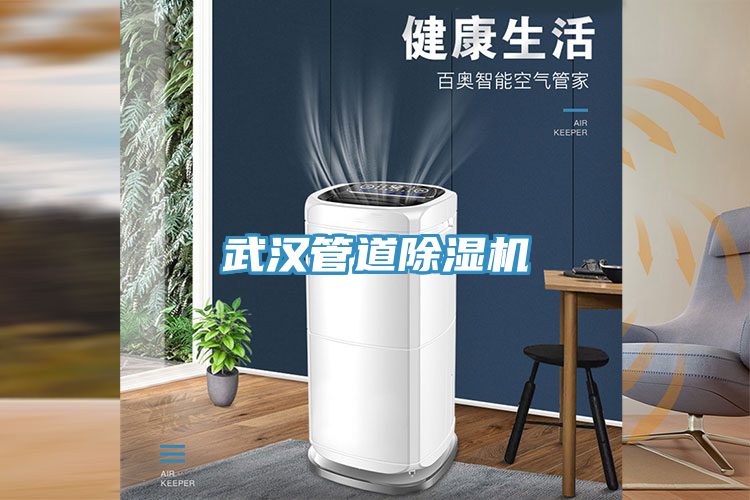 亚洲欧美一级特黄大片 武汉管道除湿机