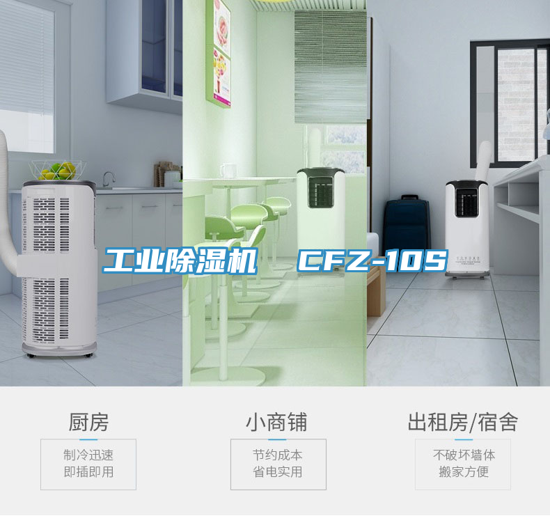 亚洲人成综合第一网站 工业除湿机  CFZ-10S