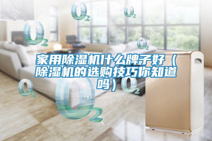 亚洲欧美一级特黄大片 家用除湿机什么牌子好（除湿机的选购技巧你知道吗）