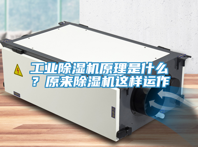 亚洲乱码一区二区三区 工业除湿机原理是什么？原来除湿机这样运作