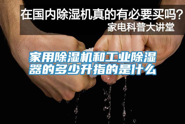 亚洲欧美一级特黄大片 家用除湿机和工业除湿器的多少升指的是什么