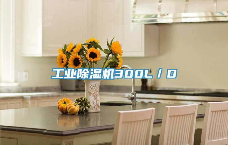亚洲欧美一级特黄大片 工业除湿机300L／D