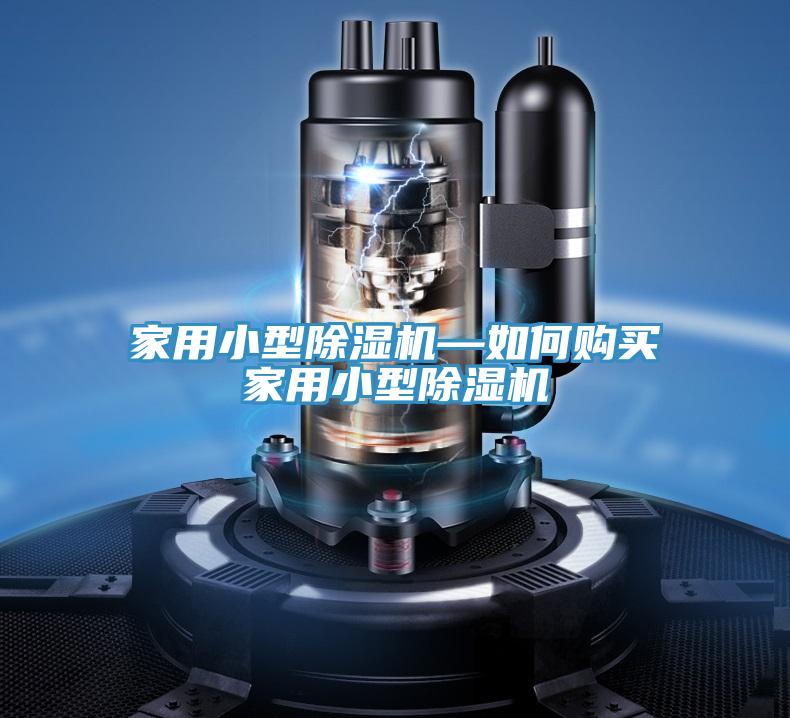亚洲人成综合第一网站 家用小型除湿机—如何购买家用小型除湿机