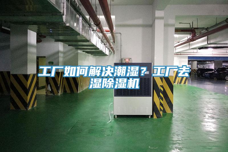 亚洲乱码一区二区三区 工厂如何解决潮湿？工厂去湿除湿机