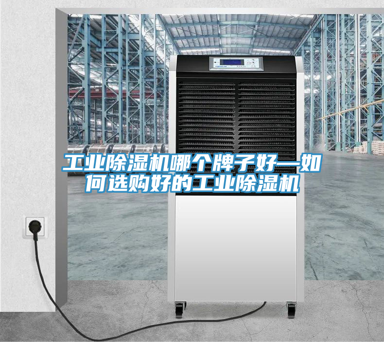 亚洲人成综合第一网站 工业除湿机哪个牌子好—如何选购好的工业除湿机