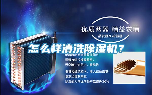 亚洲欧美一级特黄大片 怎么样清洗除湿机？