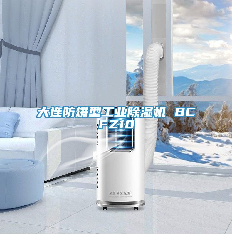 亚洲人成综合第一网站 大连防爆型工业除湿机 BCFZ10