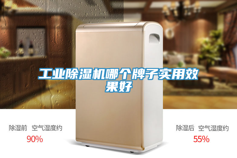亚洲乱码一区二区三区 工业除湿机哪个牌子实用效果好