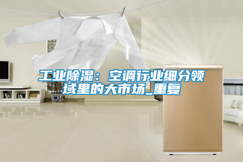 亚洲欧美一级特黄大片 工业除湿：空调行业细分领域里的大市场_重复
