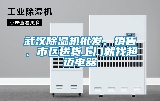 亚洲欧美一级特黄大片 武汉除湿机批发、销售、市区送货上门就找超迈电器