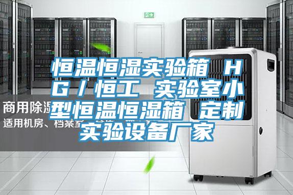 恒温恒湿实验箱 HG／恒工 实验室小型恒温恒湿箱 定制实验设备厂家