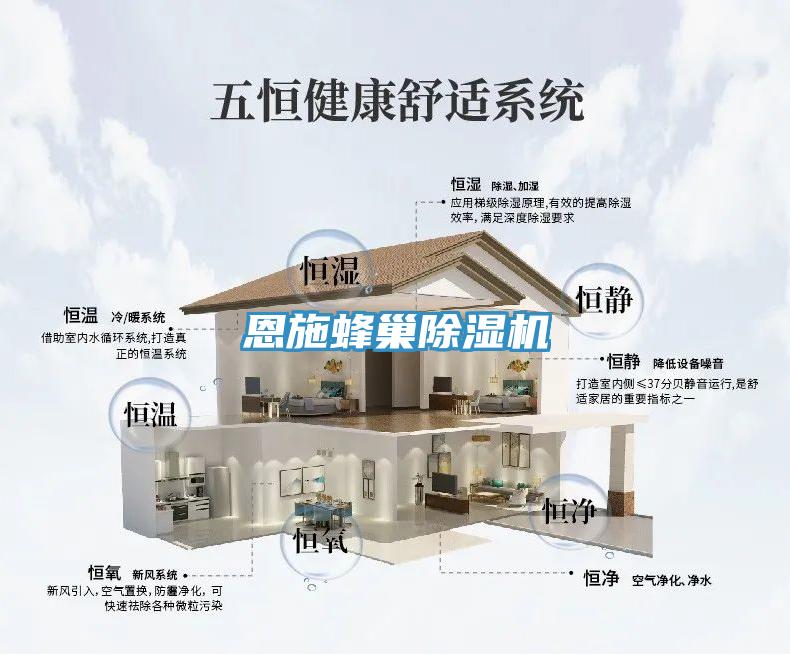 亚洲人成综合第一网站 恩施蜂巢除湿机