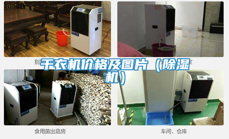 亚洲人成综合第一网站 干衣机价格及图片（除湿机）