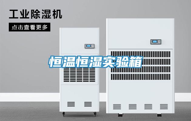 亚洲欧美一级特黄大片 恒温恒湿实验箱