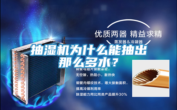 亚洲乱码一区二区三区 抽湿机为什么能抽出那么多水？
