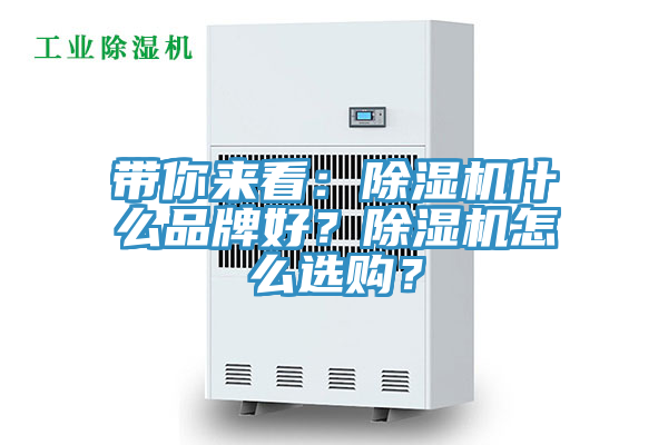 亚洲人成综合第一网站 带你来看：除湿机什么品牌好？除湿机怎么选购？