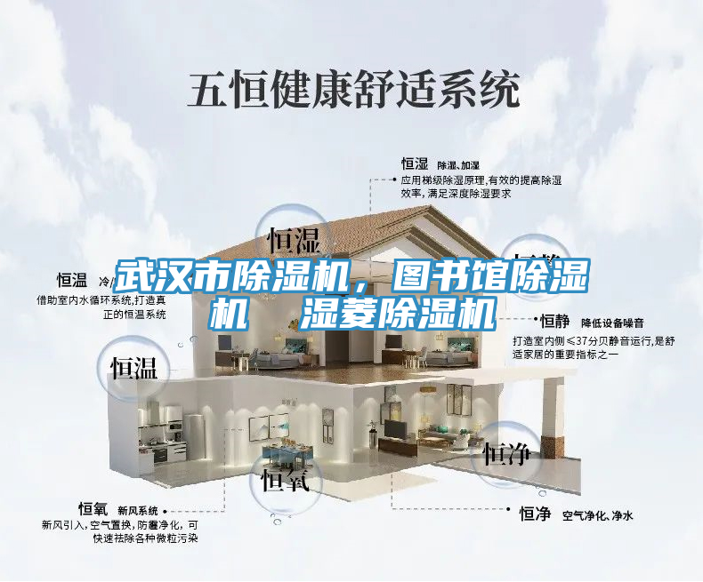亚洲人成综合第一网站 武汉市除湿机，图书馆除湿机  湿菱除湿机