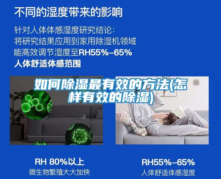 亚洲欧美一级特黄大片 如何除湿最有效的方法(怎样有效的除湿)