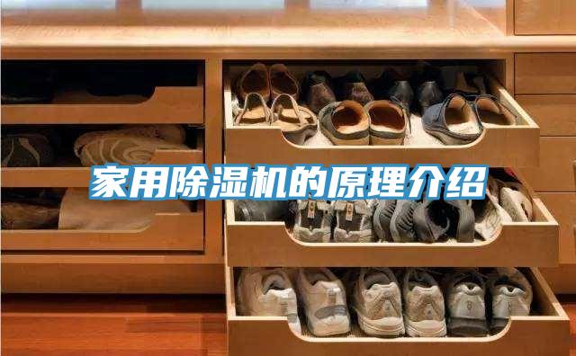 亚洲欧美一级特黄大片 家用除湿机的原理介绍