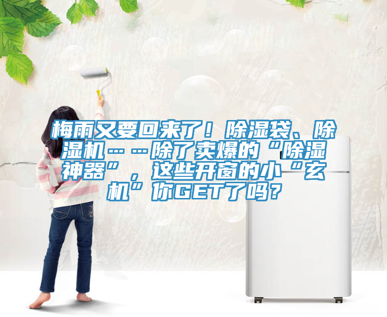 梅雨又要回来了！除湿袋、除湿机……除了卖爆的“除湿神器”，这些开窗的小“玄机”你GET了吗？