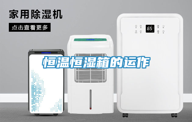亚洲人成综合第一网站 恒温恒湿箱的运作