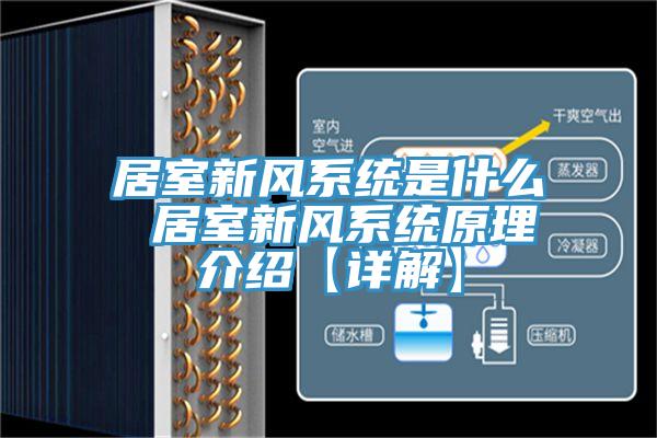 亚洲人成综合第一网站 居室新风系统是什么 居室新风系统原理介绍【详解】