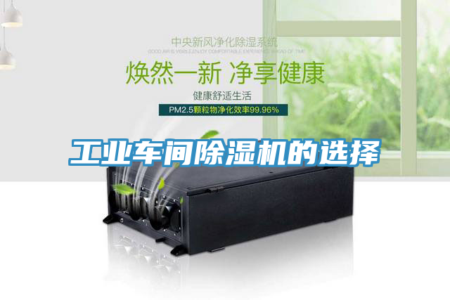 亚洲欧美一级特黄大片 工业车间除湿机的选择