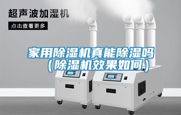 亚洲欧美一级特黄大片 家用除湿机真能除湿吗（除湿机效果如何）