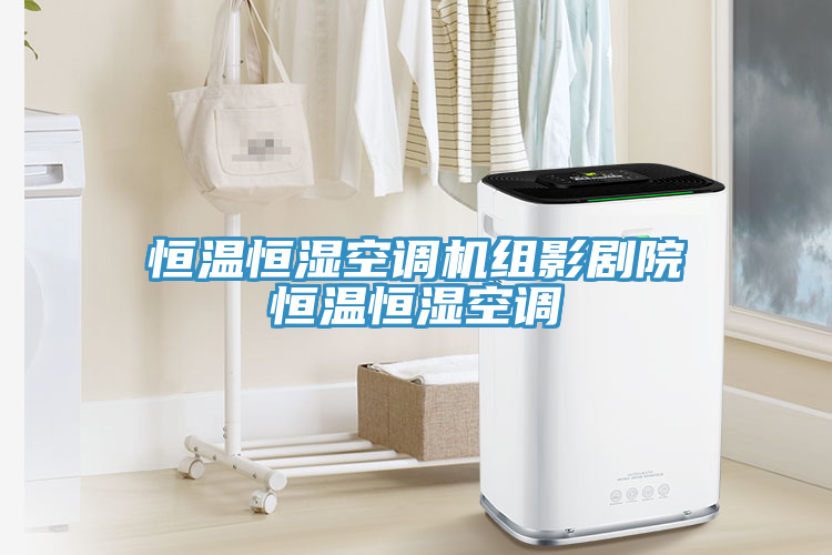 亚洲欧美一级特黄大片 恒温恒湿空调机组影剧院恒温恒湿空调