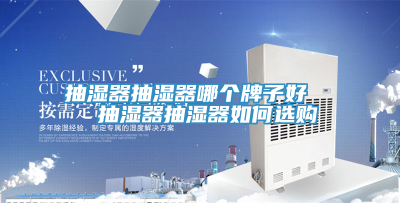 亚洲人成综合第一网站 抽湿器抽湿器哪个牌子好   抽湿器抽湿器如何选购