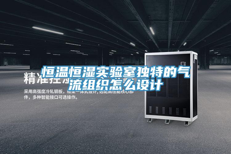 亚洲欧美一级特黄大片 恒温恒湿实验室独特的气流组织怎么设计