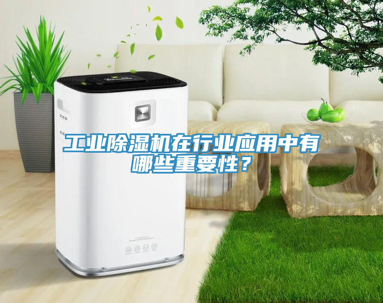 亚洲欧美一级特黄大片 工业除湿机在行业应用中有哪些重要性？