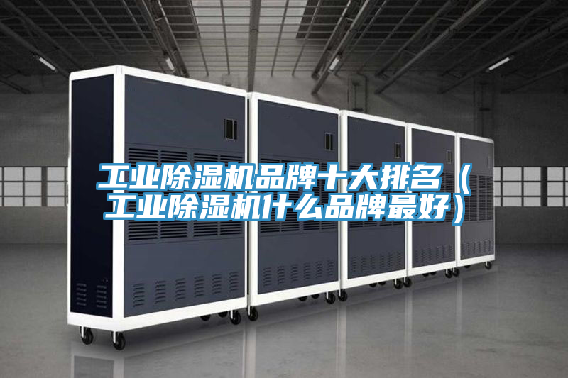 亚洲欧美一级特黄大片 工业除湿机品牌十大排名（工业除湿机什么品牌最好）